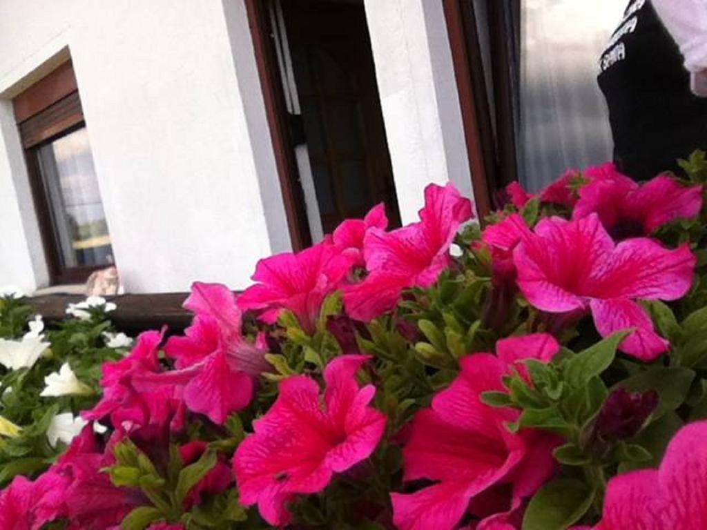 Guesthouse Magdalena Раковица Номер фото